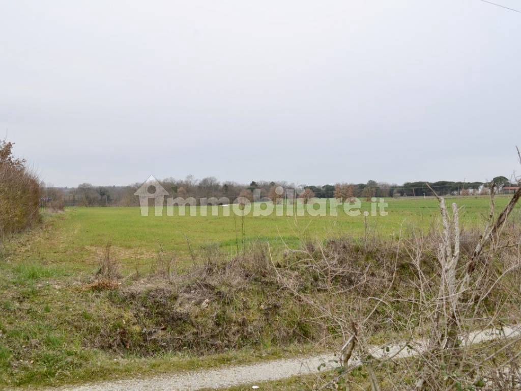 PORZIONE DI CASOLARE CON TERRENO CORTONA CAMPAGNA