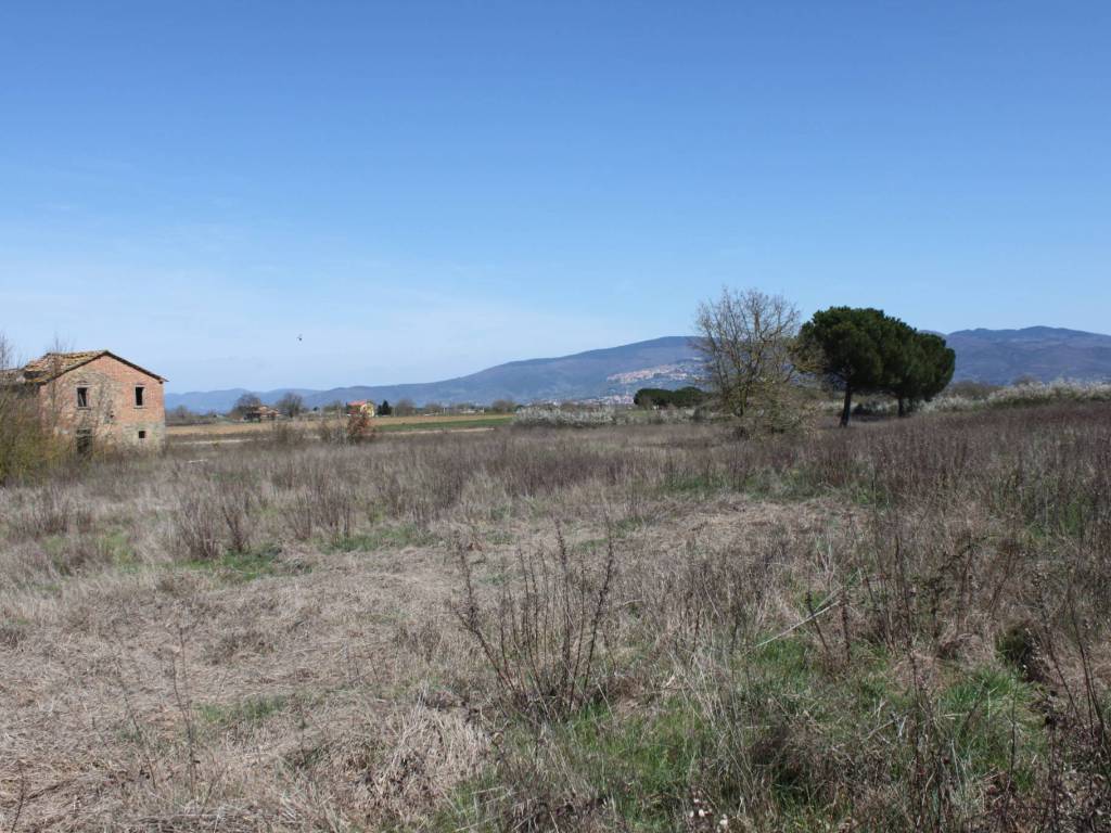 RUDERE CON TERRENO CORTONA CAMPAGNA