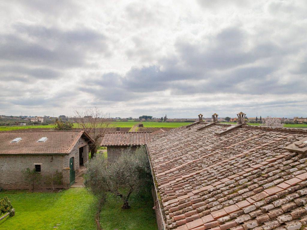 vista dalla torre