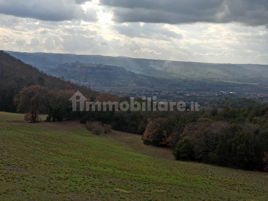 Vista Orvieto