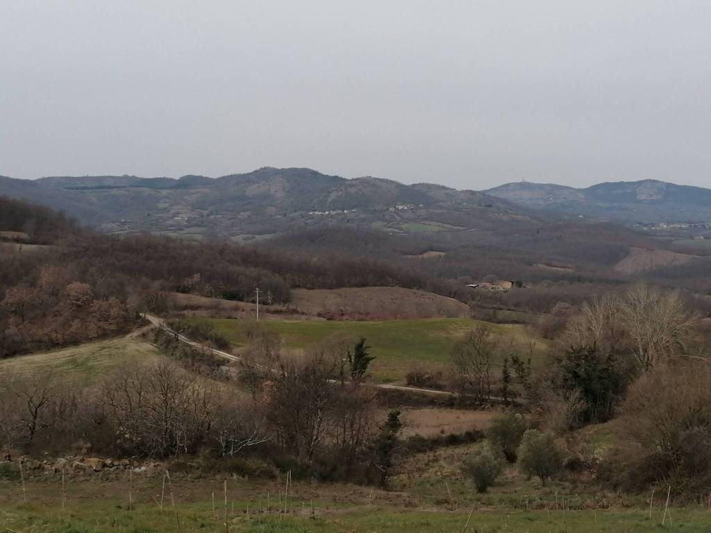 Terreno agricolo località casetta 9, sorano