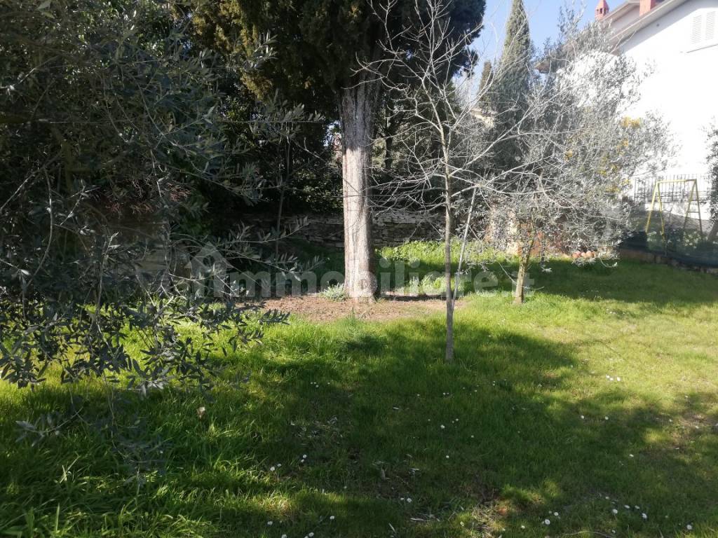 giardino