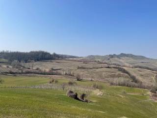 TERRENO COLLINARE A CORPO UNICO