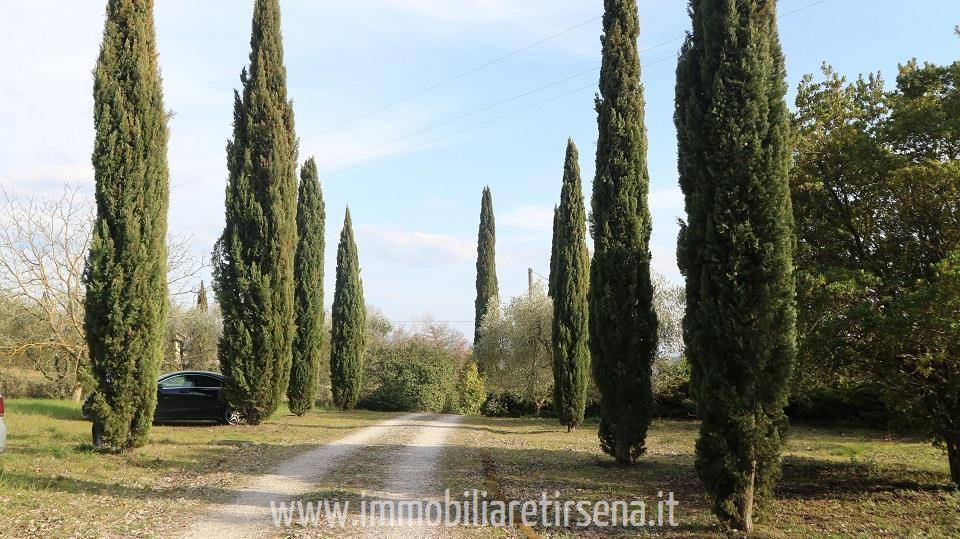 Viale d'ingresso