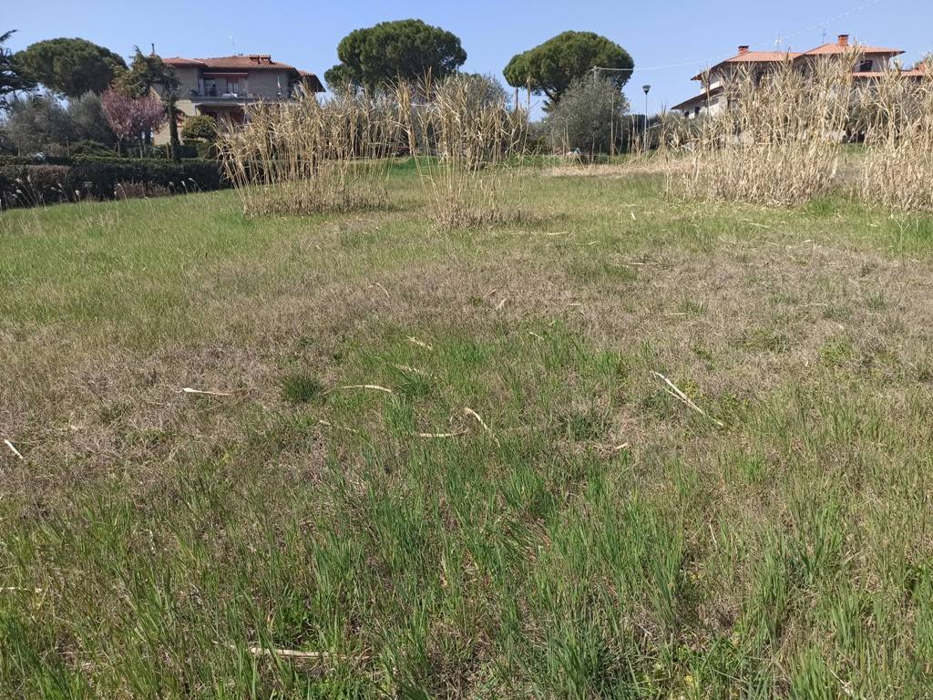 Terreno edificabile, pozzuolo, castiglione del lago