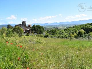 vista borgo