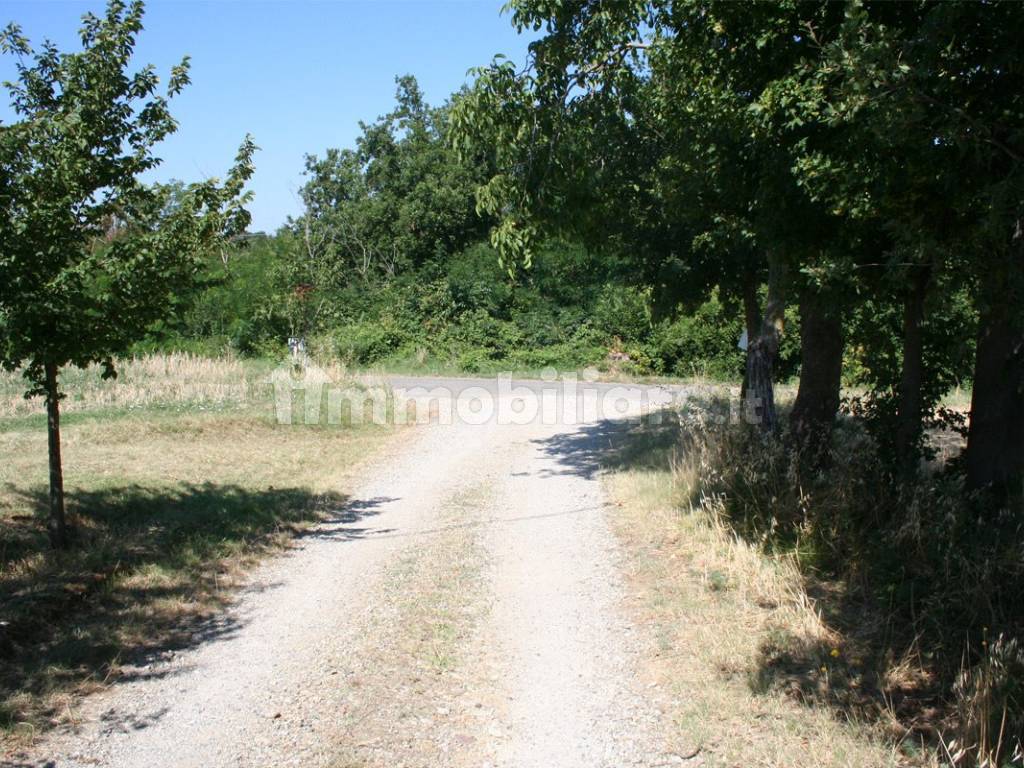 strada di accesso alla località