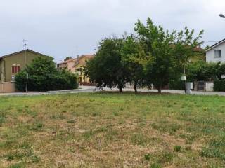 Terreni in vendita a Cuccurano, Carrara, Bellocchi, Falcineto, Caminate -  Fano - Immobiliare.it