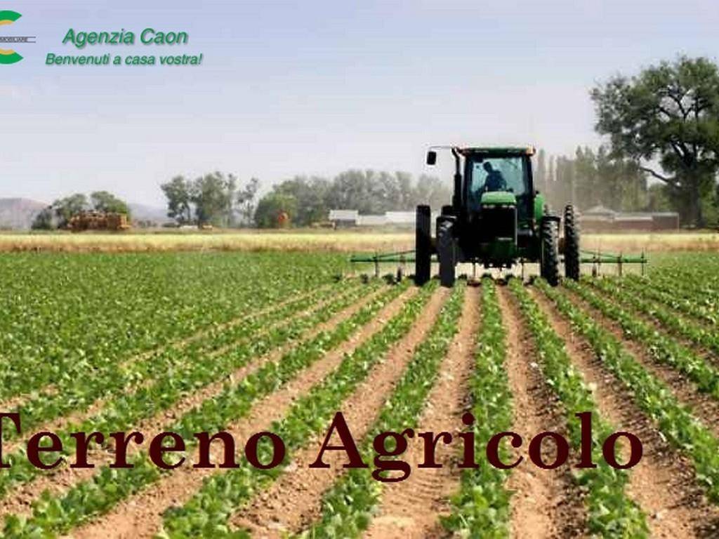 terreno agricolo