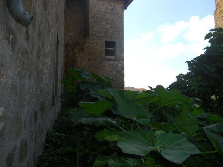 palazzo vendita giardino tuscania