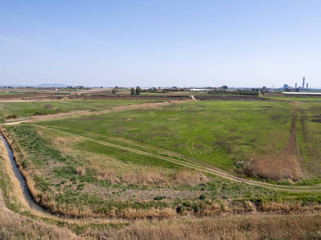 Terreno agricolo strada provinciale pescia romana, pescia romana, montalto di castro