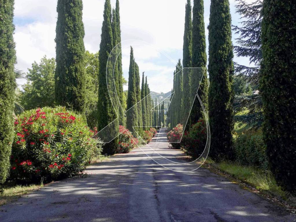 Il maestoso viale di accesso