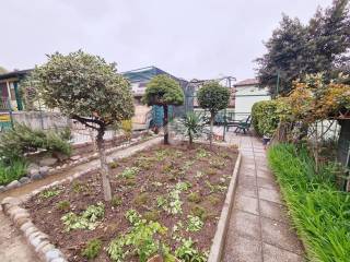 giardino e terrazzo (2)