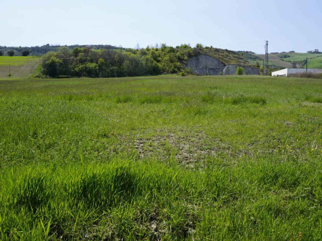 terreno agricolo