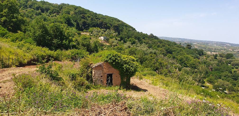 Terreno agricolo via gallizzi, vibo valentia