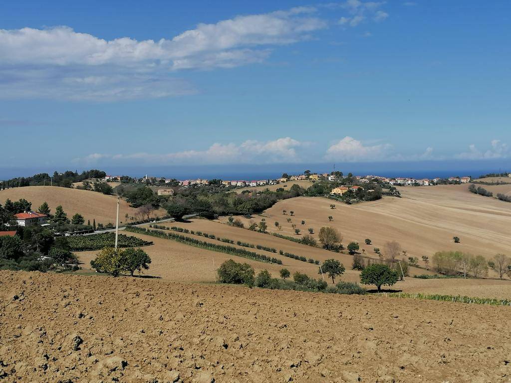 Terreno edificabile strada di morro castracane, borgo passera, sant'angelo, bettolelle, senigallia