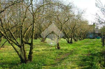 TERRENO AGRICOLO