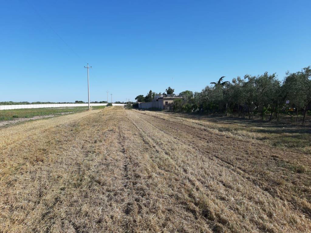 Terreno agricolo via del salice, borgo mezzanone - tavernola, foggia