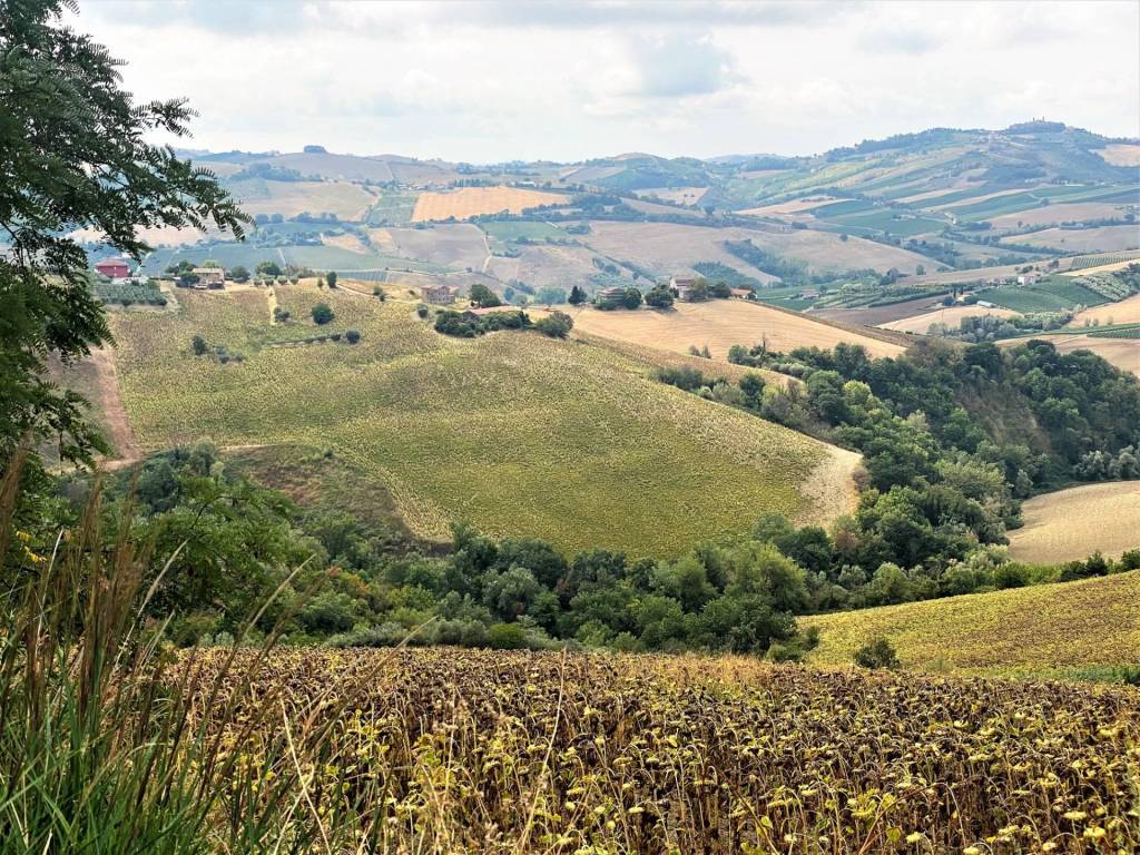 Terreno agricolo, carassai