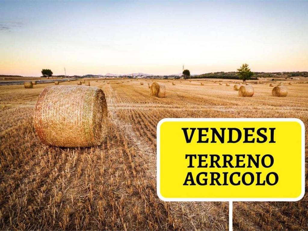 Terreno agricolo via delle ginestre, centro, briosco