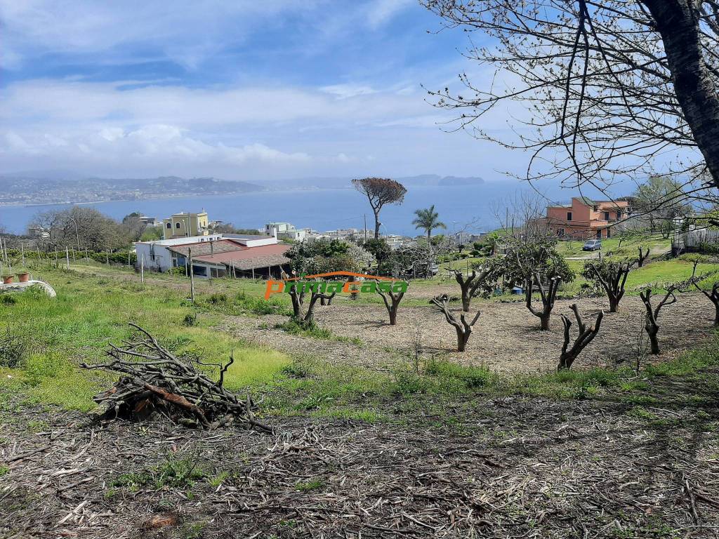 Terreno Panoramico