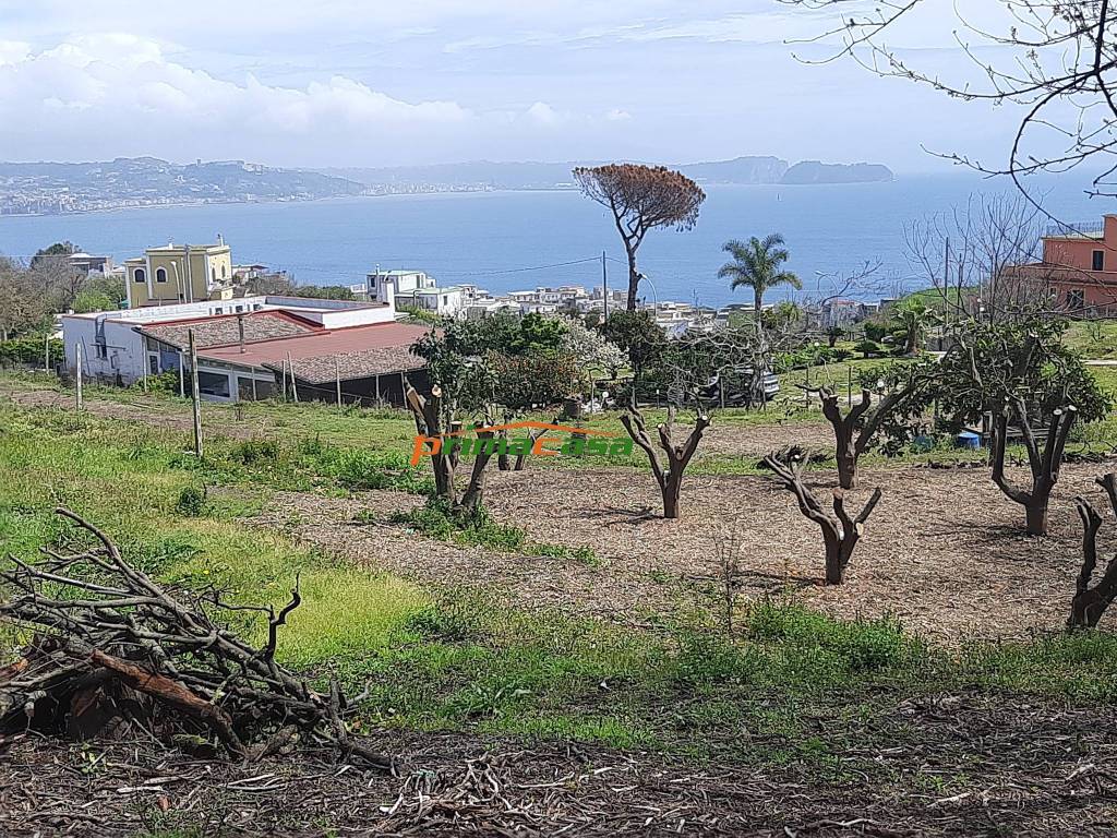 Terreno Panoramico