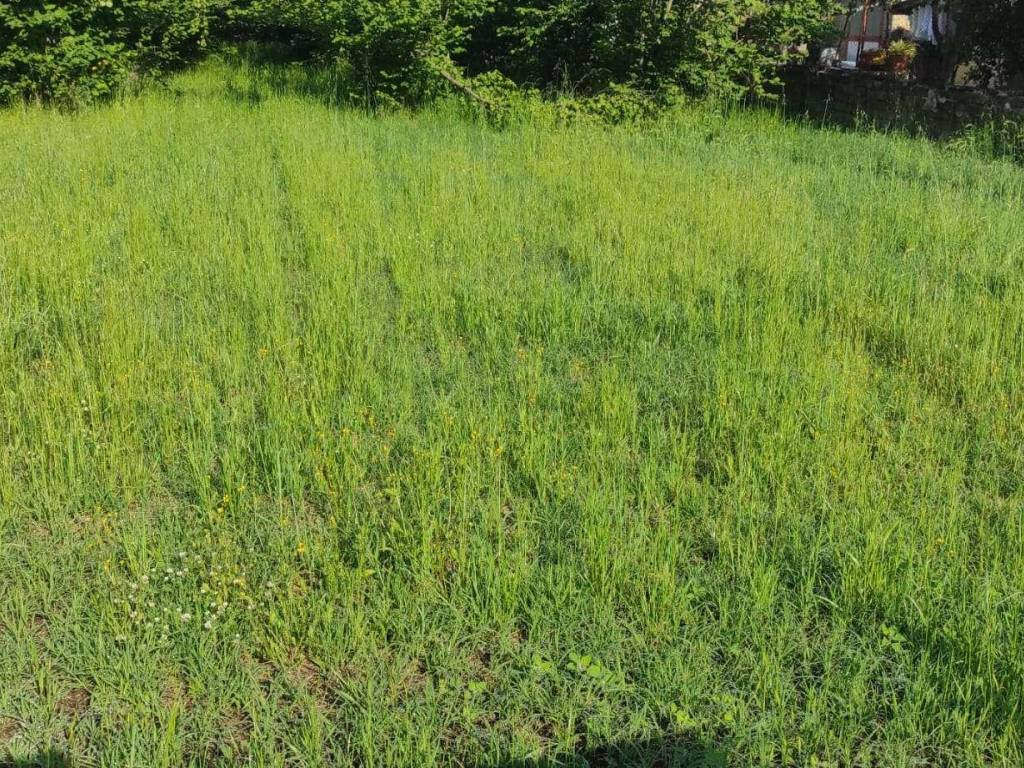 Terreno agricolo via dei gerani, somma vesuviana