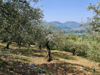 terreno