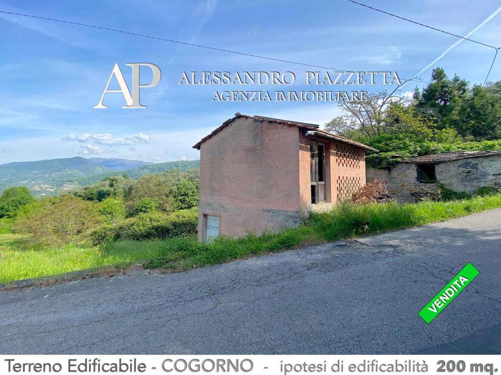 L'accesso dalla strada carrabile