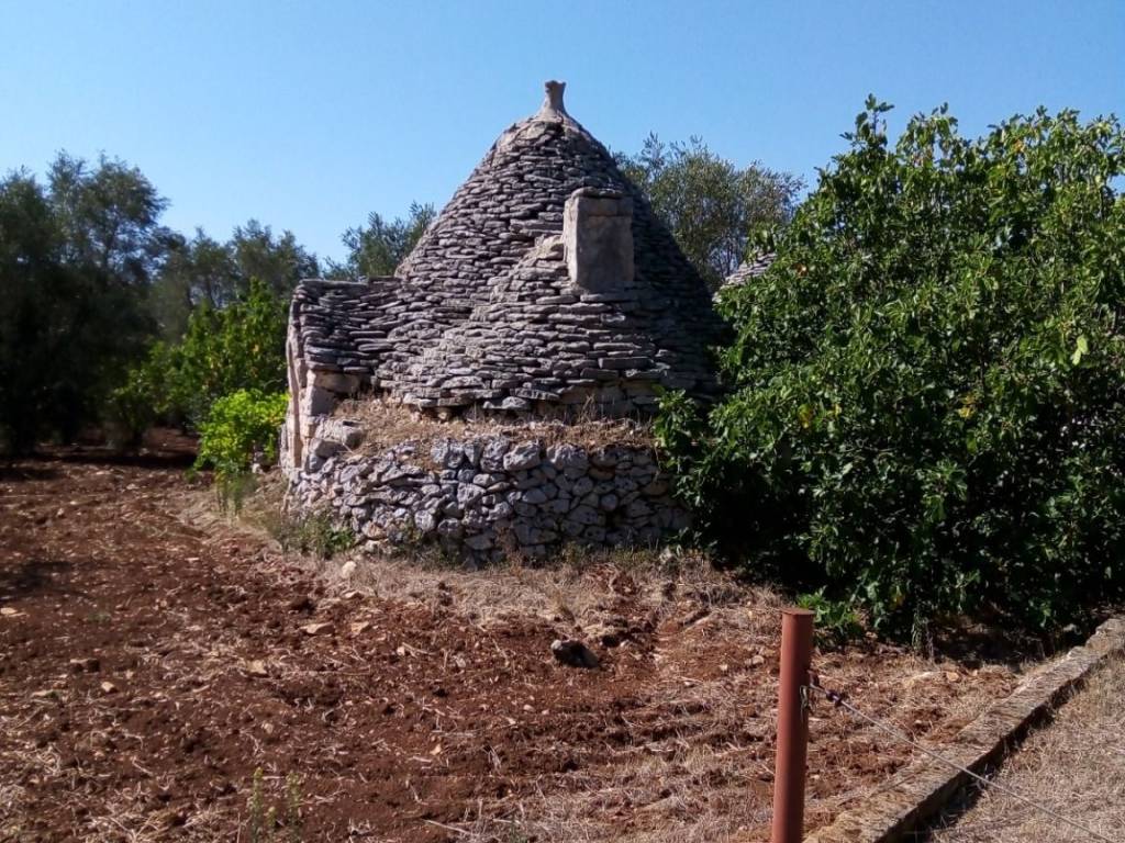 Terreno agricolo contrada pallone, francavilla fontana