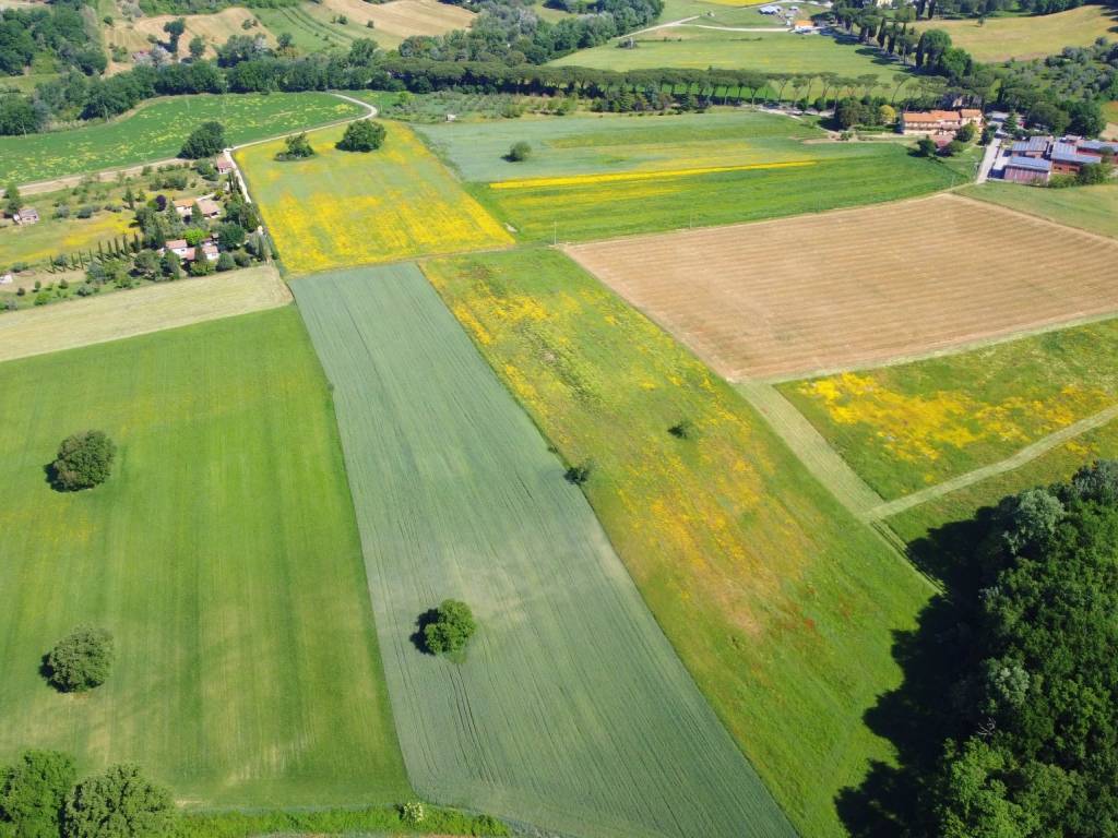 Terreno agricolo sp52c, torri in sabina