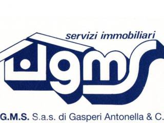 G.M.S. al 335/8437927