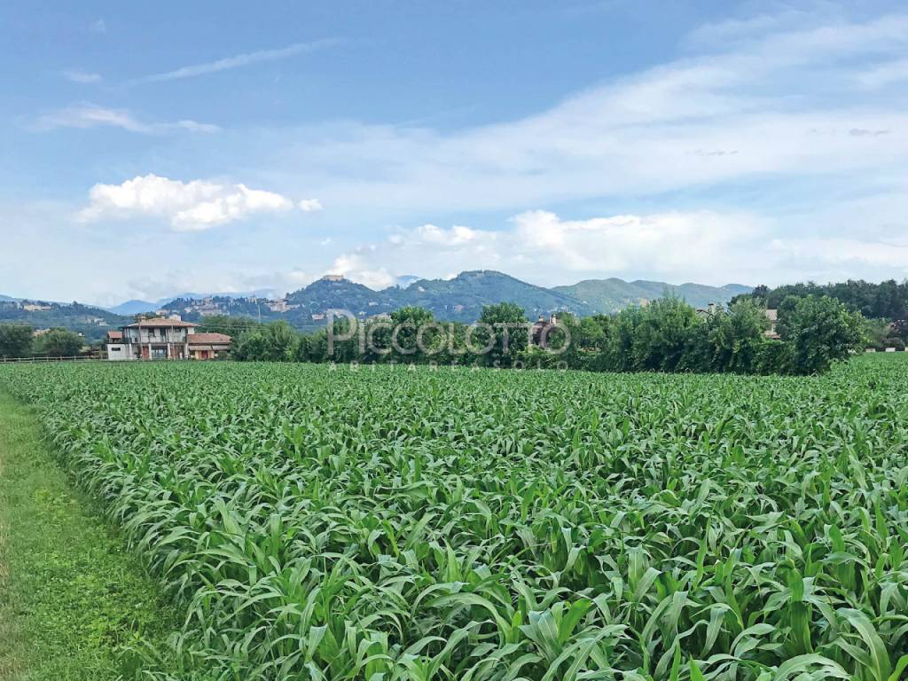 asolo casella lotto progetto villa vendita6