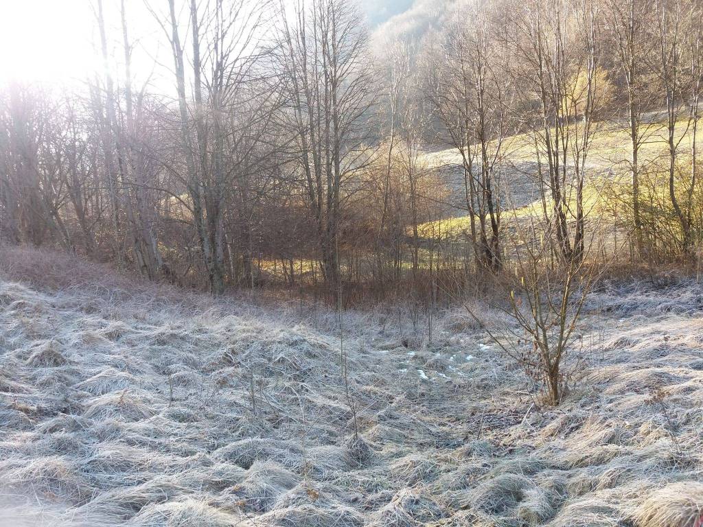 Terreno agricolo via francesco parlaschino, parlasco