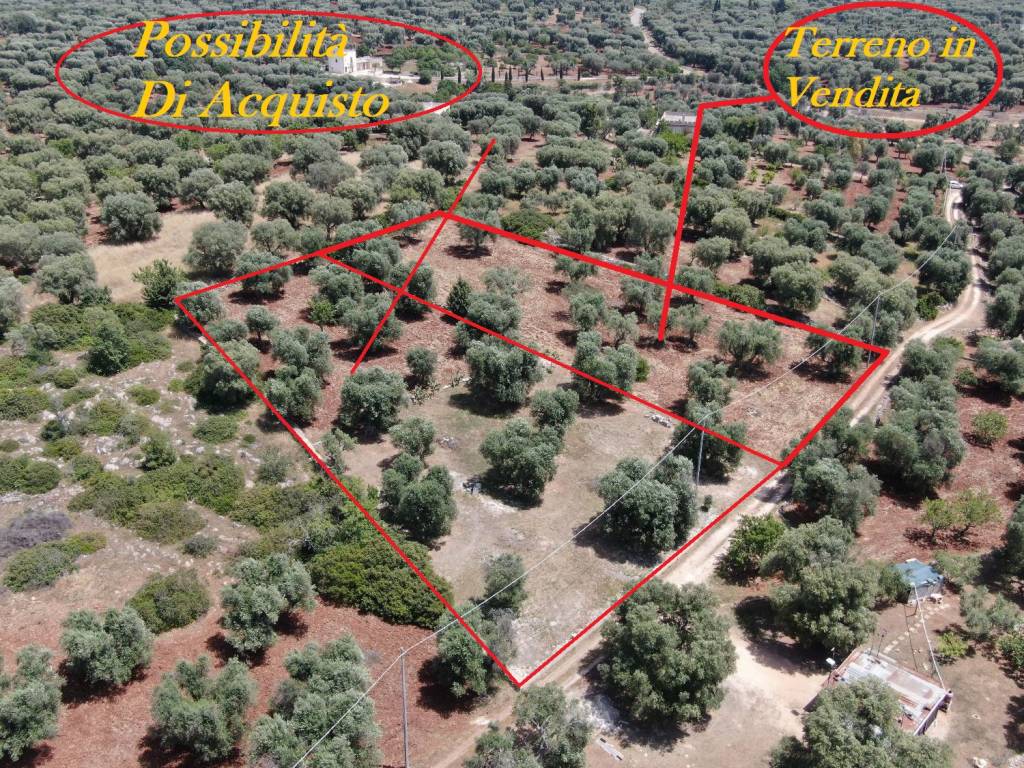 Terreno agricolo sp29, carovigno