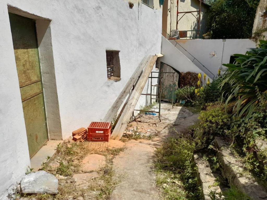 ingresso