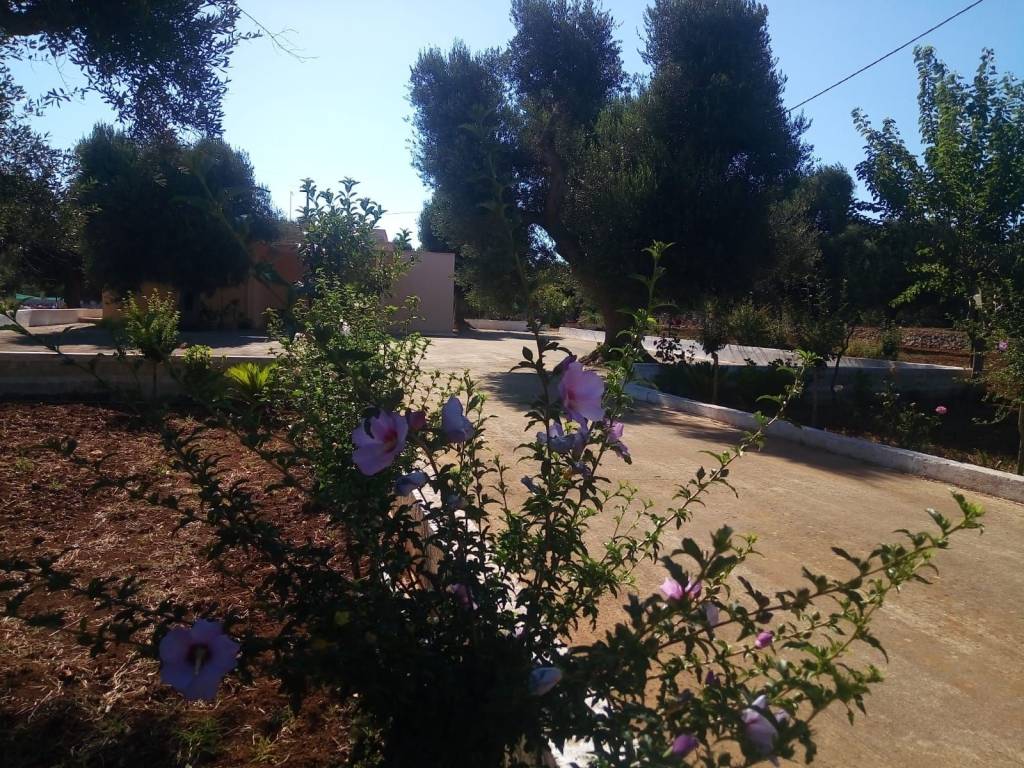 Trullo contrada medico, san vito dei normanni