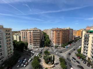 Vista