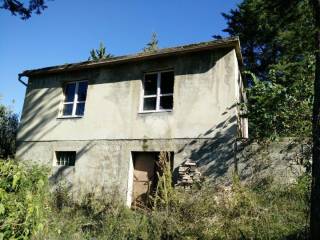 IMG-20200424-WA0015