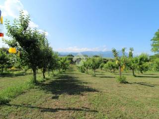 terreno agricolo