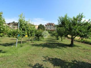 terreno agricolo