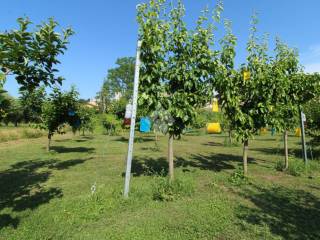 terreno agricolo