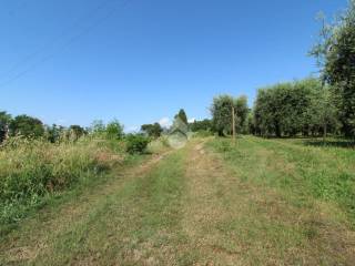 terreno agricolo