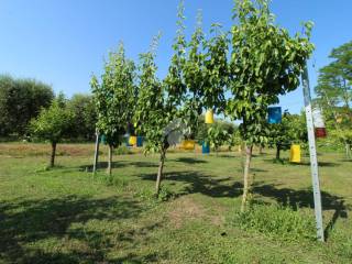 terreno agricolo