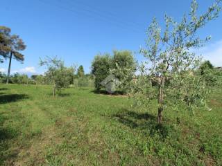 terreno agricolo