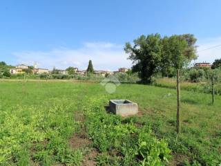 terreno agricolo