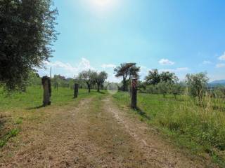 terreno agricolo