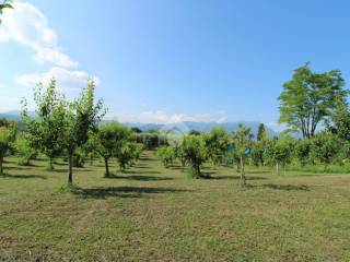 terreno agricolo