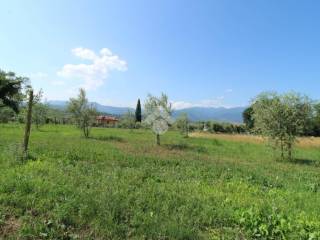 terreno agricolo