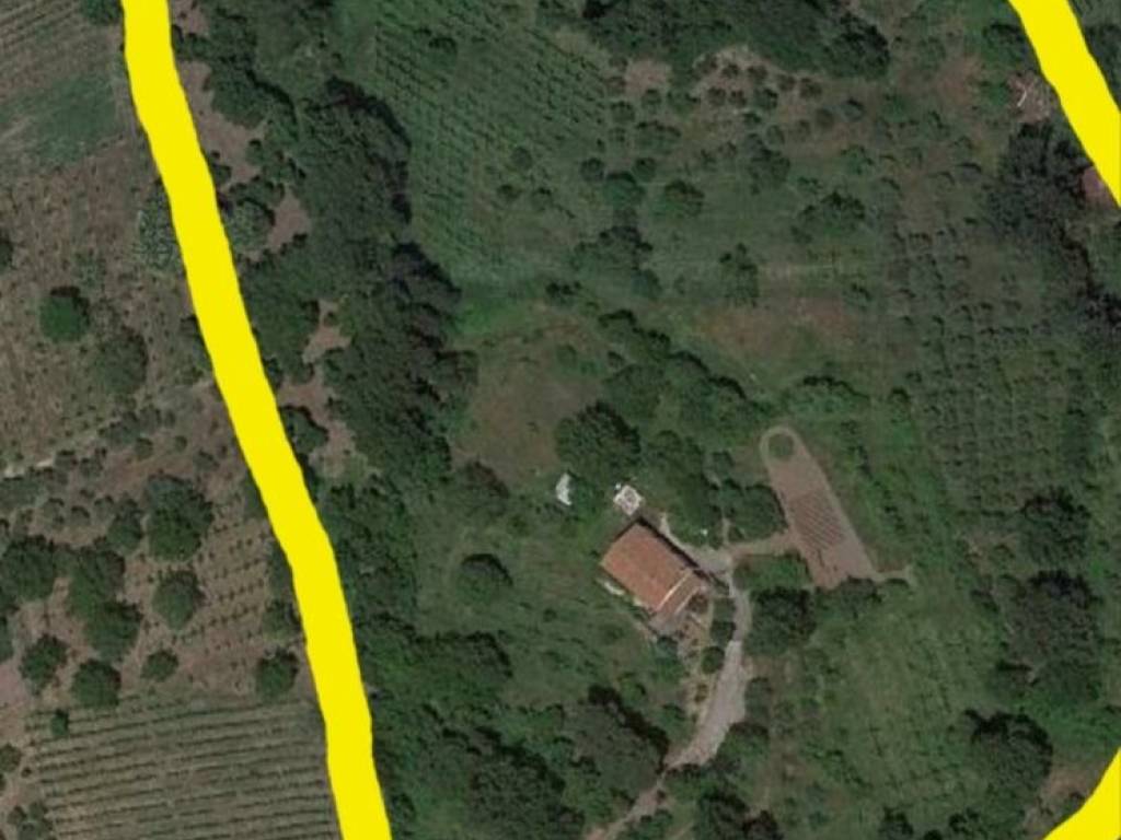 Terreno agricolo via corteioanna, lapio